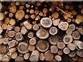 Wood pile in HR6 9NR