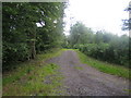 Track, Little Ridge Wood near Fonthill House in SP3 5SA