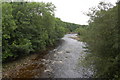 River Neath near Pont-Walby in SA11 5LR