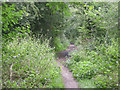 Baggeridge Country Park - The Miners Path in DY3 4HB