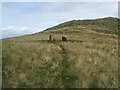 Standing Stones on Four Stones Hill in CA10 2RA