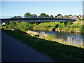 River Severn, Halfpenny footbridge in SY16 1DJ