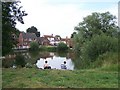 Village Pond, Mulbarton in NR14 8JU