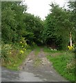 Footpath - Manchester Road, Linthwaite in HD7 4EH