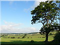 Farmland near St. Hilary. in Bro Morgannwg - the Vale of Glamorgan