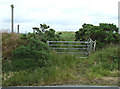 Bridleway gate north of Bwlch-Llan, Ceredigion in SA48 8QQ