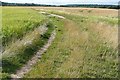 Footpaths across the prairie in RG31 6GP