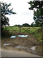 Field gate beside Witton Lane in NR13 5DL