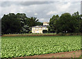 View towards Blofield Hall in NR13 4BY