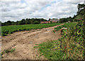 View towards Dawling's Farm in NR13 4RW