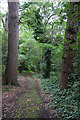 Footpath in Little Wood in NW11 6JE