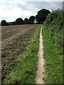 Path along field edge in NR13 6RS