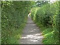 Footpath to King Richard's Well in CV13 0AB