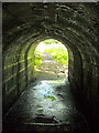 Foot path under Bridge over Calder Water in G75 0ZW