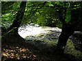 Rapids on Calder Water in G75 0QZ