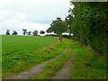 Farm track in HR2 9QU