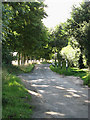 Smee Lane past Apple Tree Farm in NR13 5JP