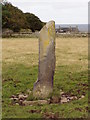 Ackergill Mains  Standing Stone in KW1 4RN