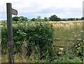 Footpath to Sibson in CV13 6LL