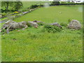Craighall Mill Stone Circle from South in PH10 7JB