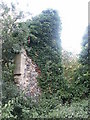 Church Ruins, Westley (2) in IP33 3SL