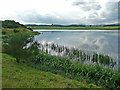 Lower Rhynd (Reservoir) in FK15 9PN