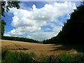 Farmland near Greenlands Copse, East Garston Woodlands in RG17 7AT
