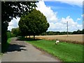 Access road to Fisher's Farm, near Shefford Woodlands in RG17 7AY