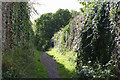Beaminster: path from Fleet Street in DT8 3NF