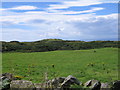 View over field to Craigoch Park Moor in DG9 9AA