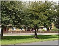 Bungalows on Longmoor Road in NG10 4BB
