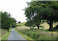Lane north of Plas-y-Bryniau, Ceredigion in SY23 5NR