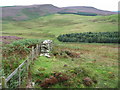 Moorland looking south towards Cartington hill, Northumberland in NE66 4TD