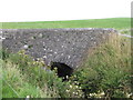 Enoch bridge over Pinminnoch burn in DG9 8JE