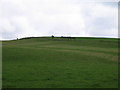 Fields towards McCormacks hill in DG9 8JE