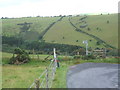 Nant Silo, looking across the steep sided valley in Trefeurig Community