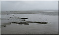 Mudflats off Brean in TA8 2RF