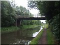 Rushall Canal - Shustoke Bridge in WS5 4DB