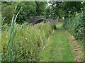 Ashby Canal near Hill's Bridge in CV13 0BH