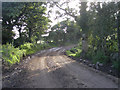 Muddy lane at Trelan in TR12 6RP