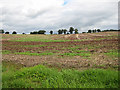 Harvested field near Bulley in GL2 8BP