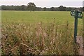 Footpath towards Marsh Lane in RG18 9XX
