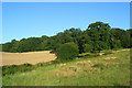Farmland and woodland, Curridge in RG14 2TB