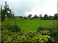 Pastures south-west of Cayo Farm in HR2 9ED