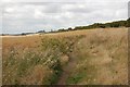 Footpath to Hadleigh Castle in West Leigh Ward