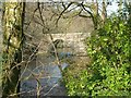 Respryn bridge from the riverbank in PL30 4AH