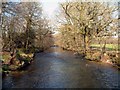 River Fowey in the sun in PL30 4AH