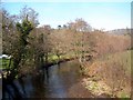 Looking up stream from Respryn bridge in PL30 4AH