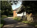 A short country lane leading to Church End Farm in CB11 3YL