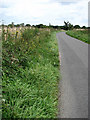 View east along Back Lane in NR29 5EA